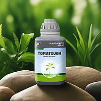 Tomatough by PI Industries