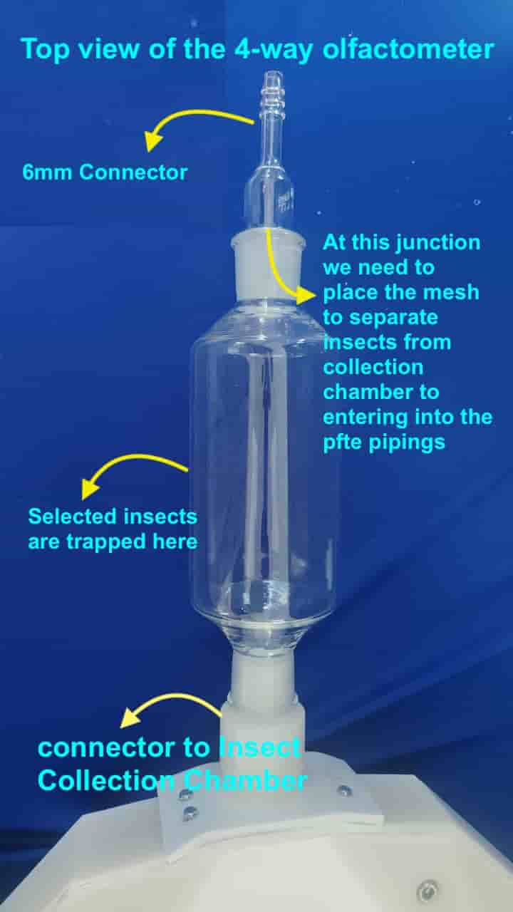 Insect Collection Chamber Cylindrical 250ml with B24