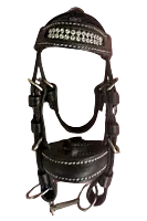 Toy Bridle