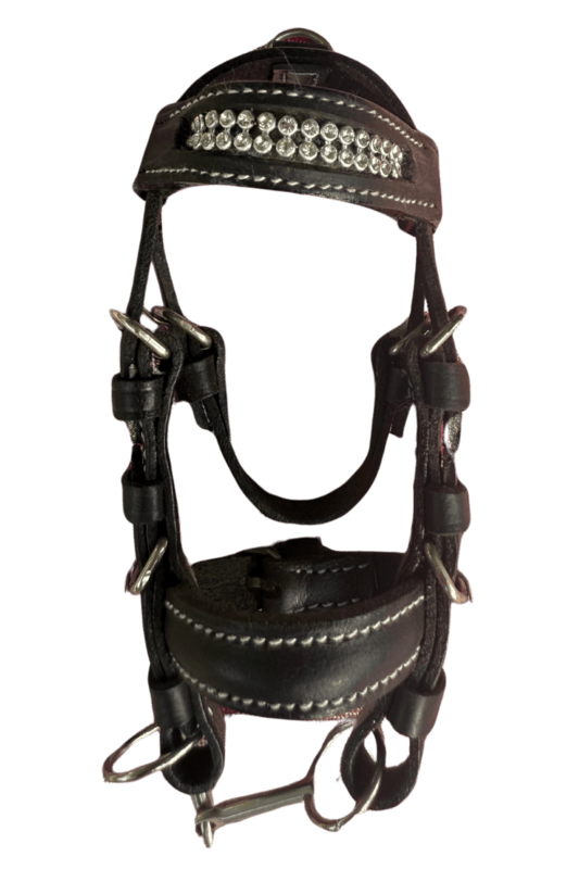 Toy Bridle