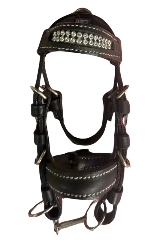 Toy Bridle