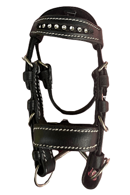 Toy Bridle