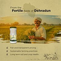 Traditional Basmati Rice