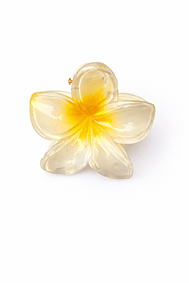 Flower clip-Medium Size(Pack of 6)