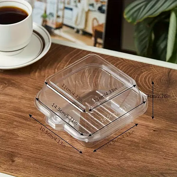 Transparent Bento Box