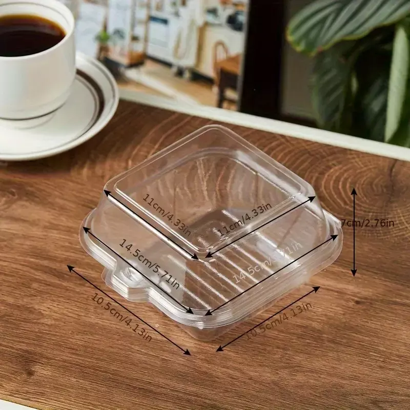 Transparent Bento Box