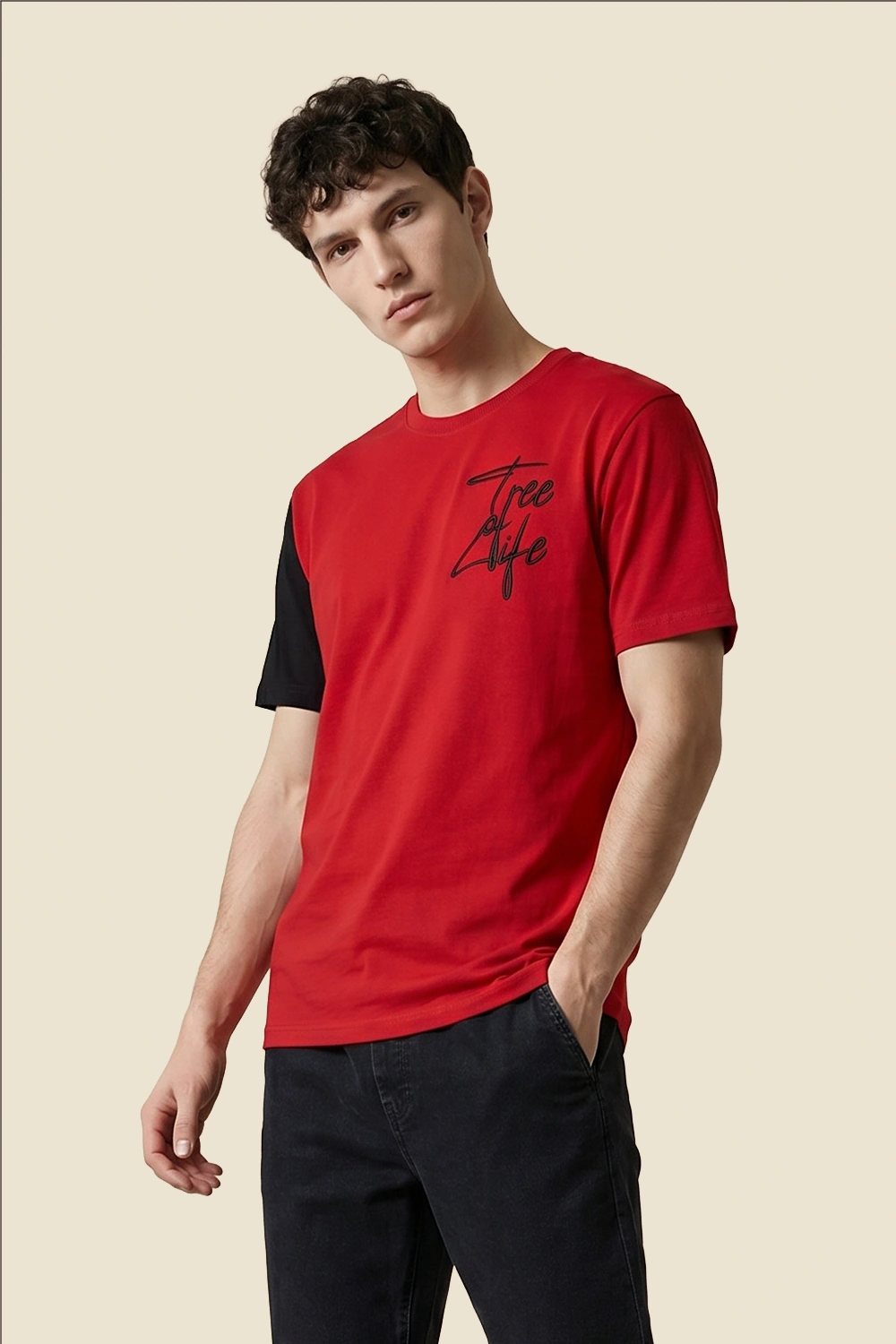 Men's Colour Block Tshirt