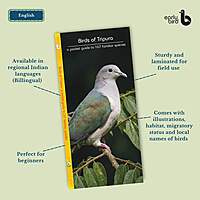 Early Bird Pocket Guides Early Bird Pocket Guides