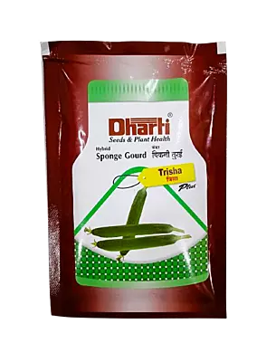 Hybrid Sponge Gourd by Dharti Seeds