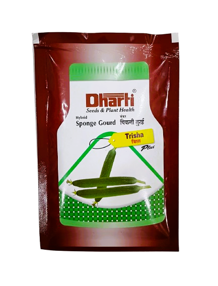 Hybrid Sponge Gourd by Dharti Seeds