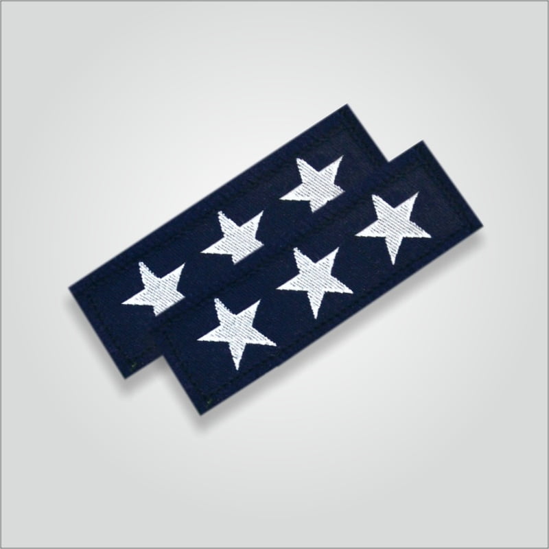 Charan Badges Tritiya