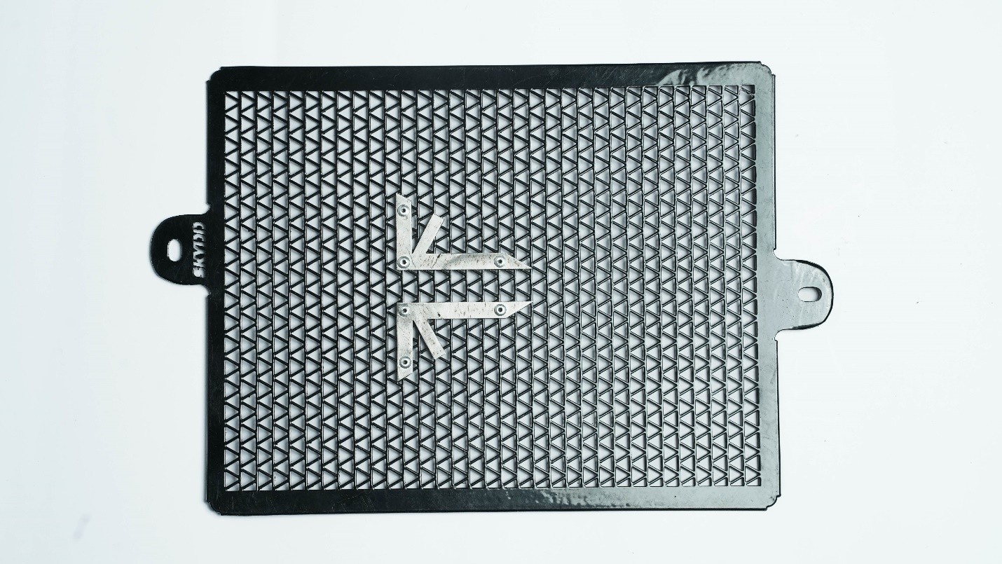 Triumph Speed/Scrambler Radiator Guard