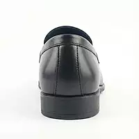 Trotter
