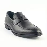 Trotter