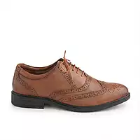 Trotter