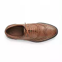 Trotter