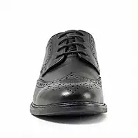 Trotter