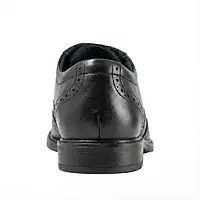 Trotter