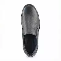 Trotter