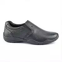 Trotter