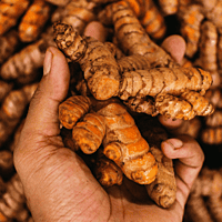 Raaja - Kachchi Haldi (Turmeric Fingers)