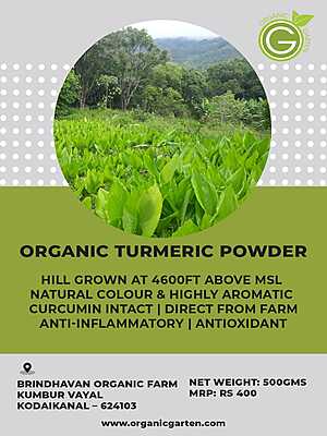 Organic Turmeric Powder Organic Turmeric Powder