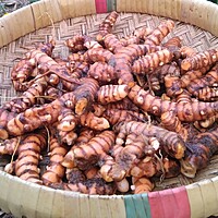 Organic Whole Fresh Turmeric