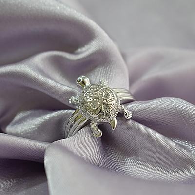 Tortoisie Silver Ring with OHM - size 20 Tortoisie Silver Ring with OHM - size 20