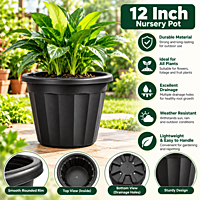 12 Inch Nursery Pot | ECSHA
