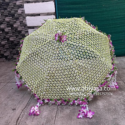 Netted umbrella