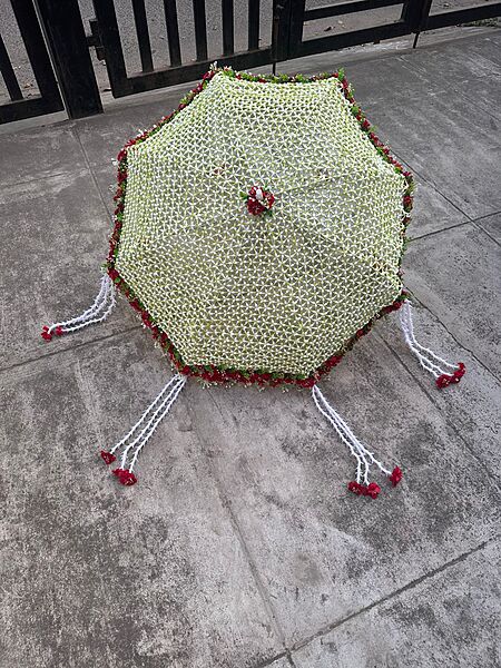Netted umbrella 1