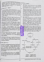 UG TRB Thavaraviyal 2026 Exams - Graduate Teachers and Block Resource Teacher Educators