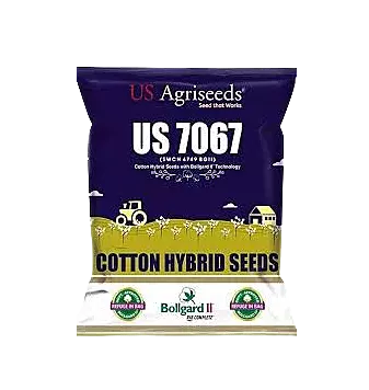 US Hybrid Cotton Seeds 7067 BG II (SWCH 4749 BG II)