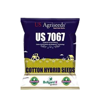 US Hybrid Cotton Seeds 7067 BG II (SWCH 4749 BG II)
