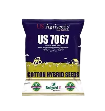 US Hybrid Cotton Seeds 7067 BG II (SWCH 4749 BG II)