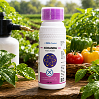 TATA Rallis Koranda Insecticide | Vetrivel Agro Services