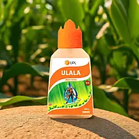 UPL Ulala