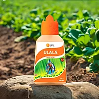 UPL Ulala