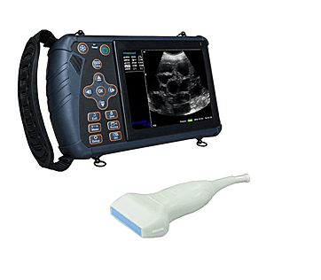 Ultrasound Scanner (Veterinary)