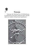 Understanding Pratika Symbols in the Indian Tradition