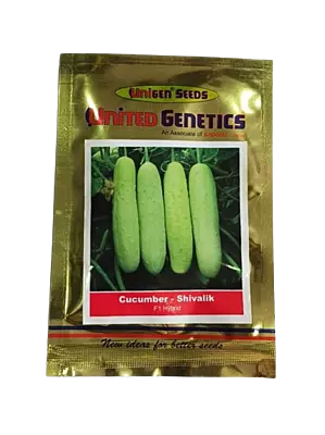 United Genetics Cucumber Shivalik F1-25gm
