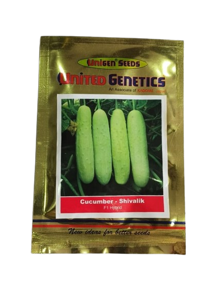 United Genetics Cucumber Shivalik F1-25gm