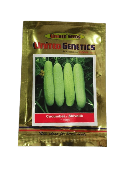 United Genetics Cucumber Shivalik F1-25gm