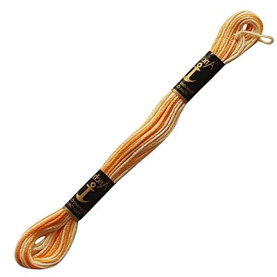 Anchor Embroidery Thread 1220