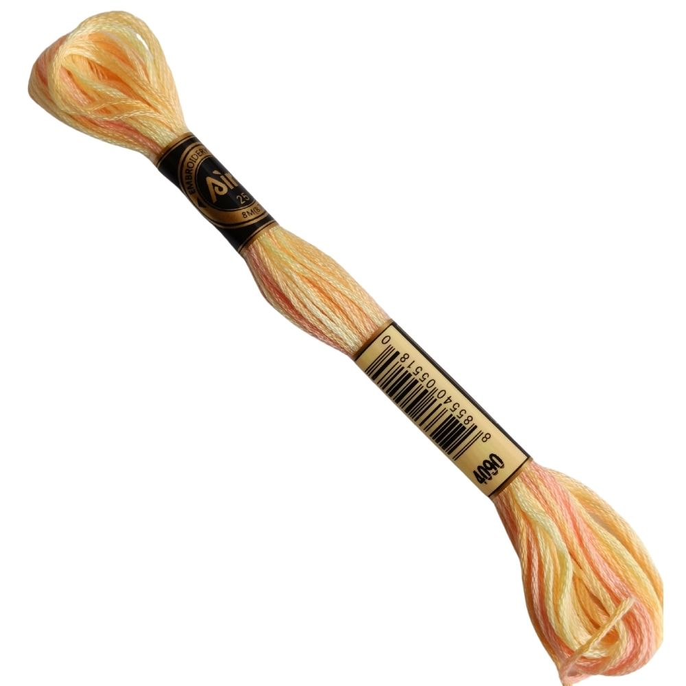 Airo Embroidery Thread Multi 4090 Golden Oasis