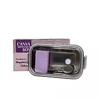 Canva Purple Stainless Steel Lunch Box 2 Compartment with Spoon