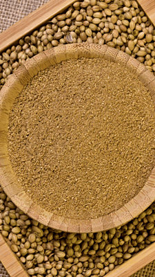 Roasted Coriander Powder