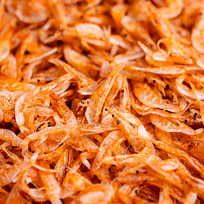 Chitin & Chitosan Export Product Analysis Report