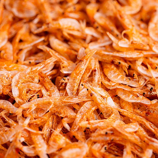 Chitin & Chitosan Export Product Analysis Report