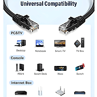 Cat 6 Patch Cable (SFTP) - 25M